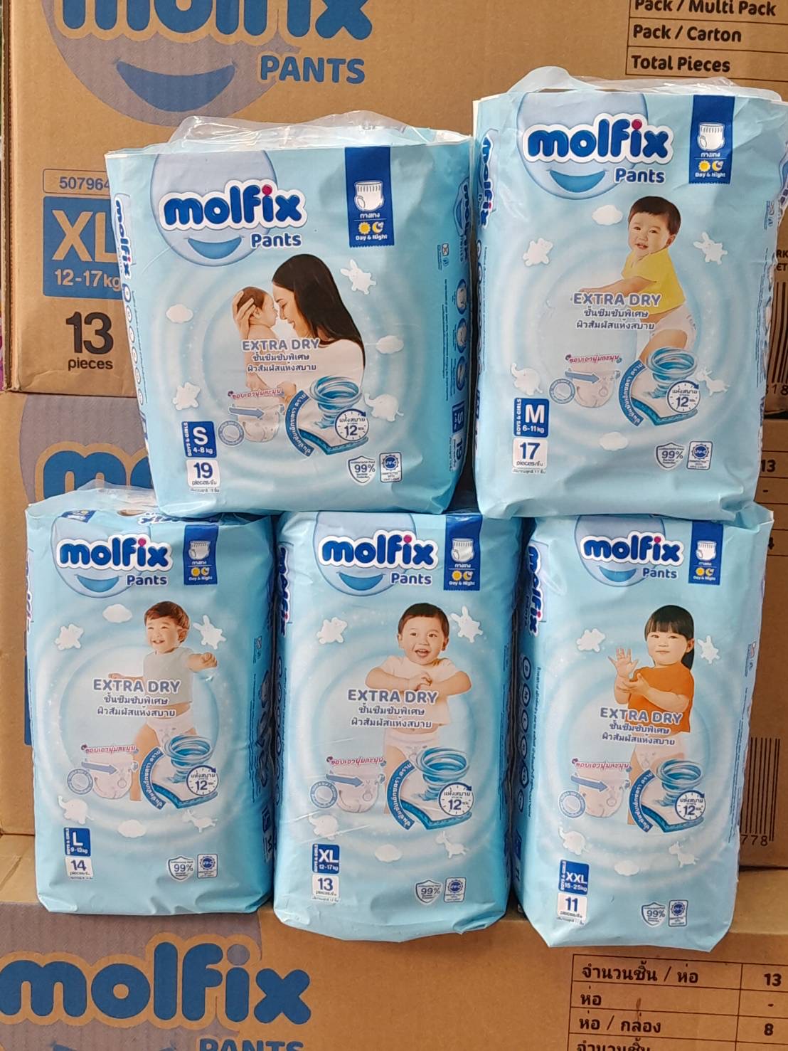 Molfix ยกลัง 8 ห่อ